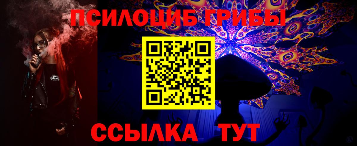 Нерюнгри  Псилоцибиновые грибы мухоморы  Галлюциногенные грибы Cubensis  Вход с VPN 